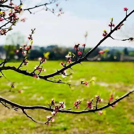 Farm stay Masseria Salento Galatone