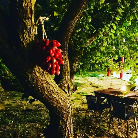 Masseria Salento * Galatone